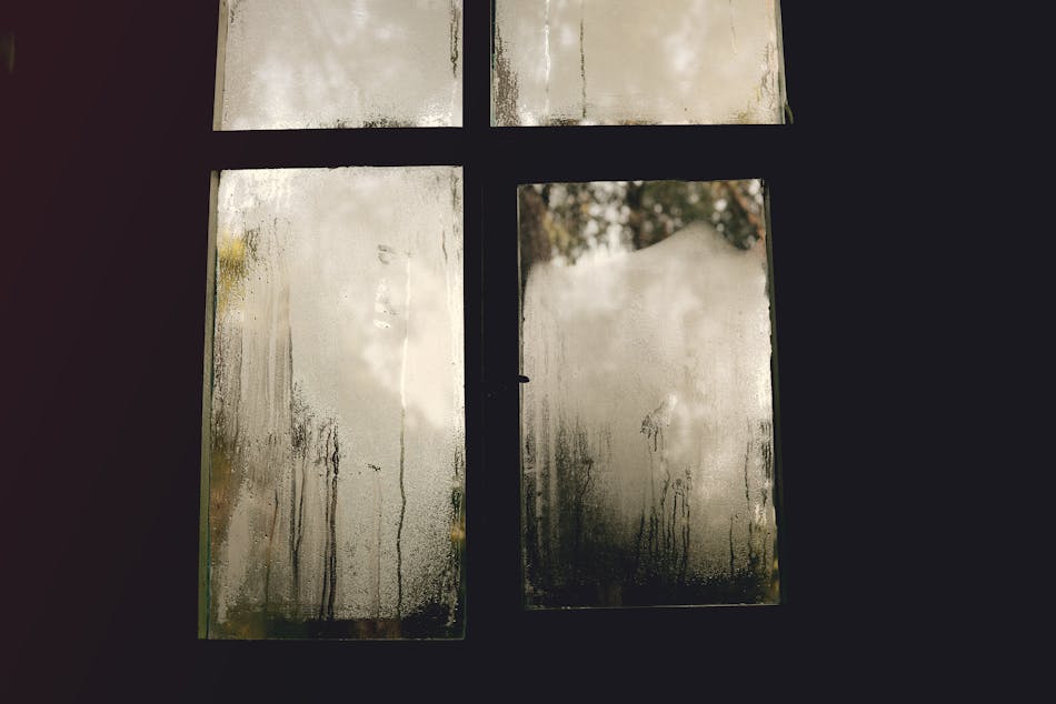 pexels-cihanyuce-30689061 (1).jpg